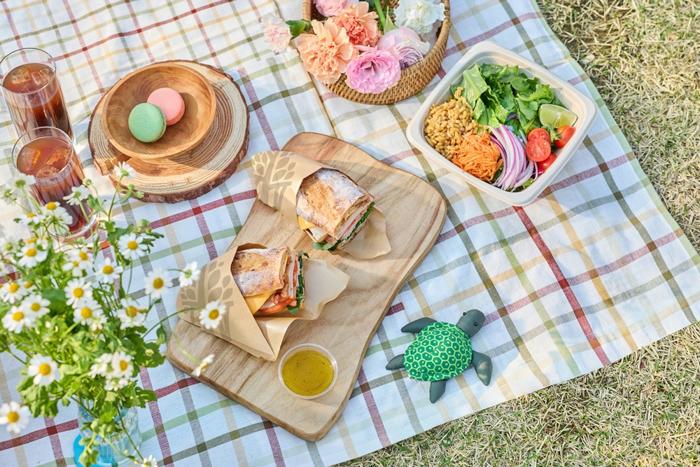 Picnic in Namsan PKG